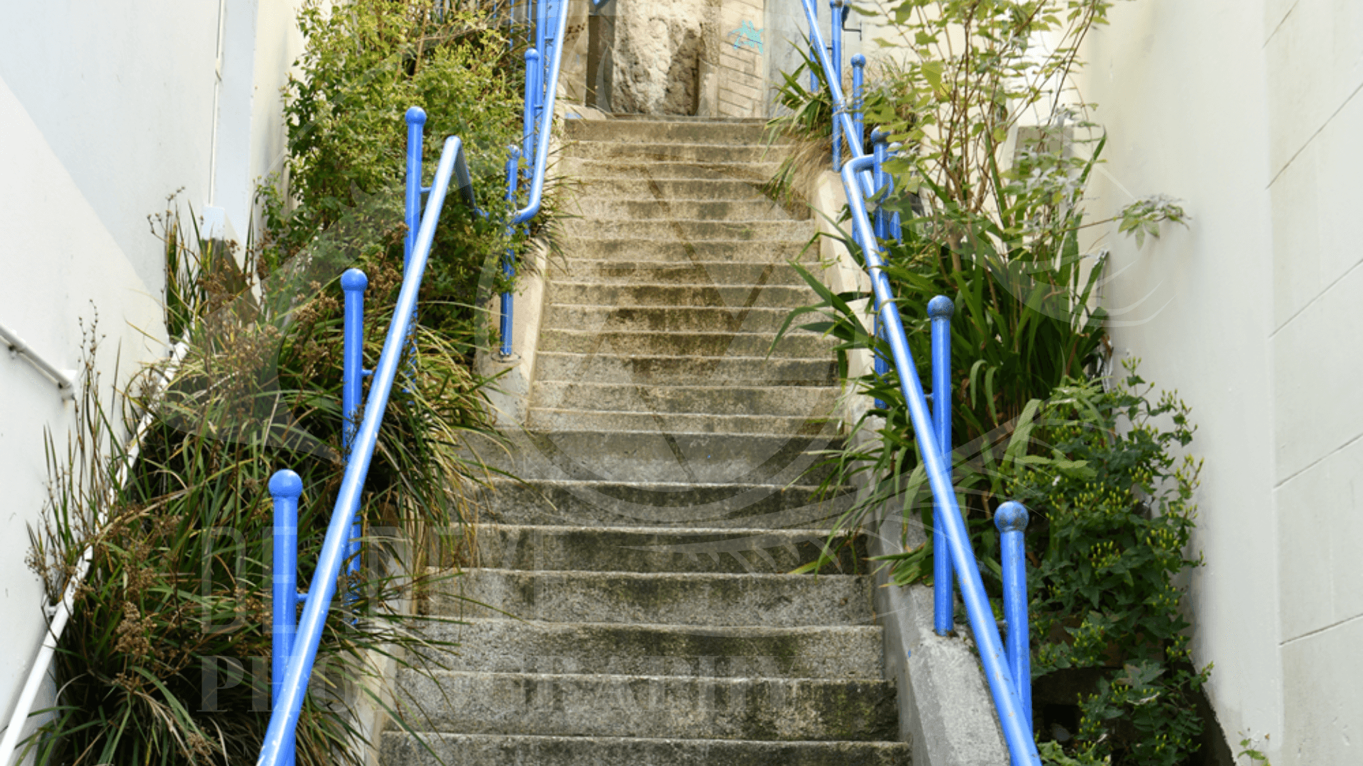 The Great Climb
