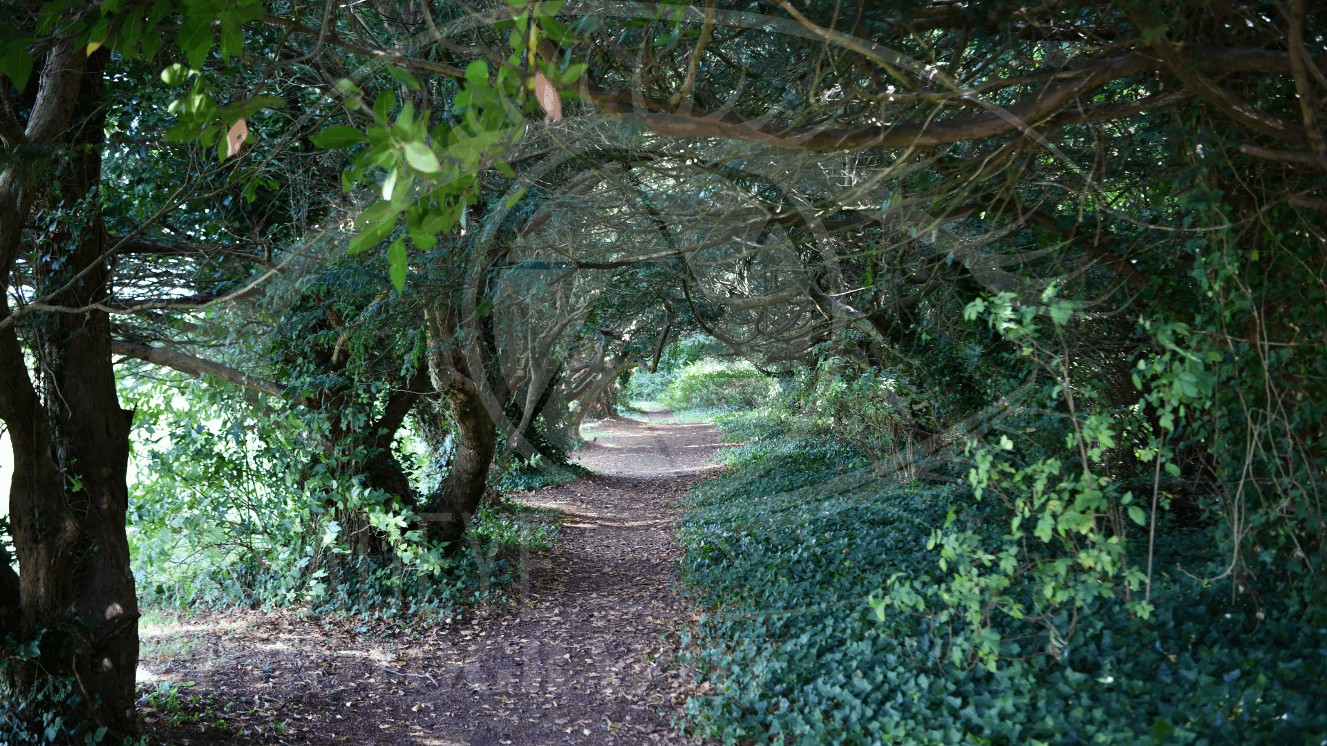 Secret Passage