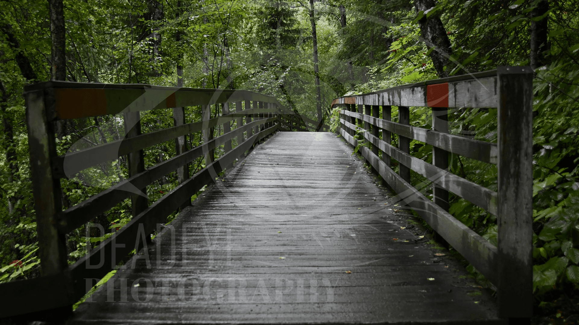 Tranquil Passage